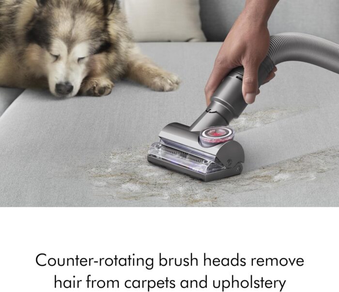 Dyson Ball Animal 2 Total Clean Upright Vacuum, Iron/Blue - Image 6