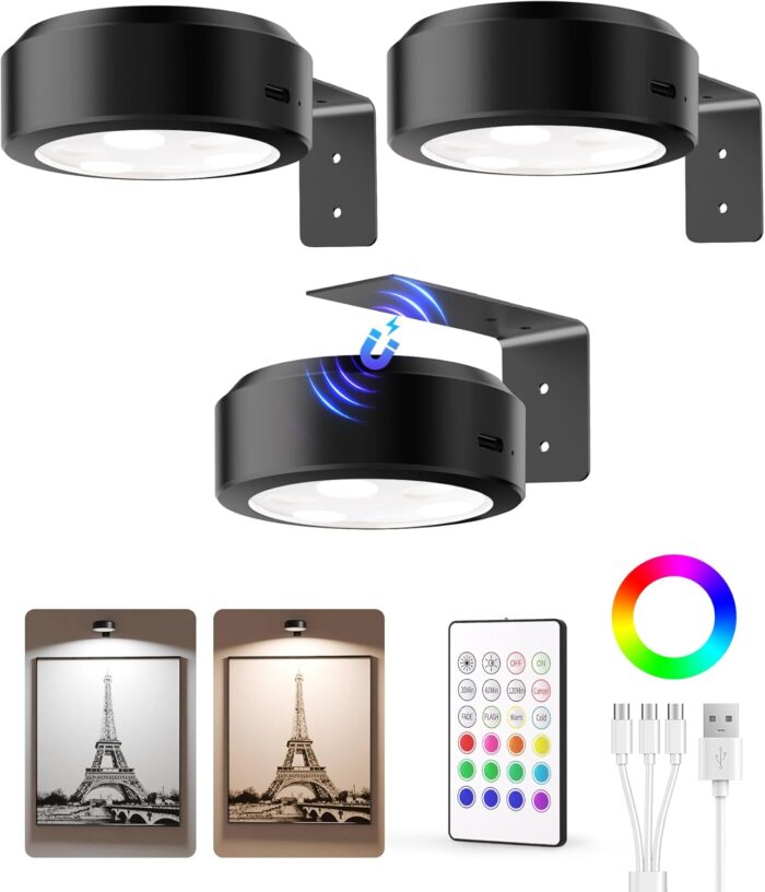 EZVALO Picture Lights for Wall,2000mAh Rechargeable Battery Magnetic Poster Lights with 2 Color Temps&12 RGB,Remote Dimmable Timer Painting Light,Wall Decor Light for Art Display,Picture,Frame(3 Pack)