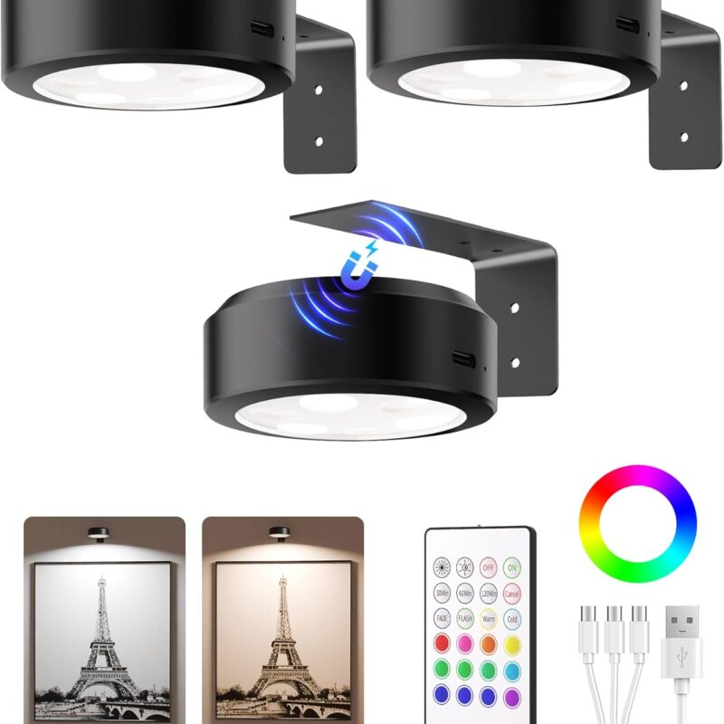 EZVALO Picture Lights for Wall,2000mAh Rechargeable Battery Magnetic Poster Lights with 2 Color Temps&12 RGB,Remote Dimmable Timer Painting Light,Wall Decor Light for Art Display,Picture,Frame(3 Pack)