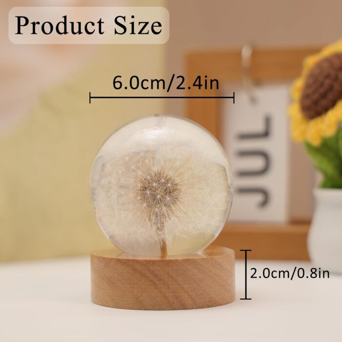 Dandelion Decor Gifts,Dandelion Flowers Lamp Crystal Ball Night Light,2.4 Inch Glass Ball Lamp with LED Wooden Base, Soft Warm White Lighting for Women Best Friends Sister Birthday Xmas Aesthetic Gift - Image 4
